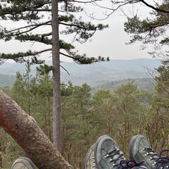 23-03-04 15-13-48 4724